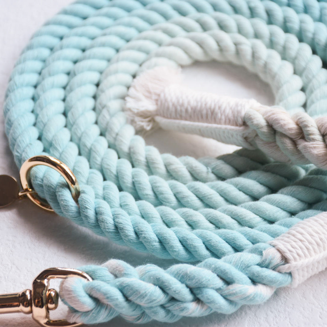 Leash |  Aqua