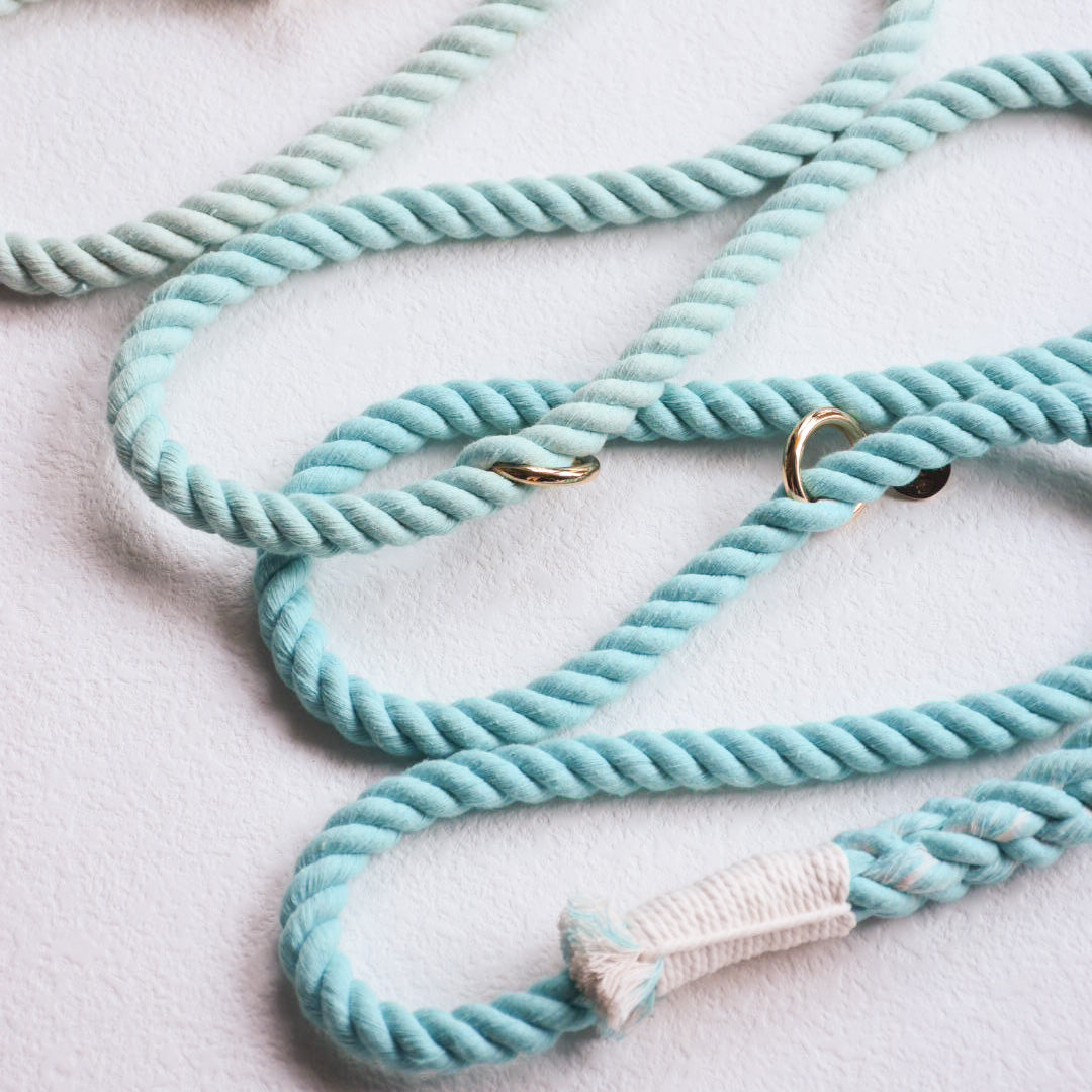 Leash |  Aqua