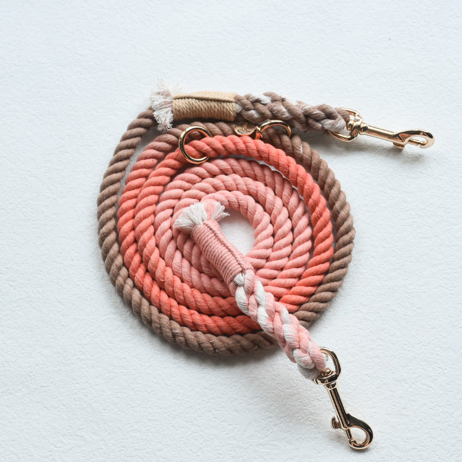 Leash |  Peach Brown