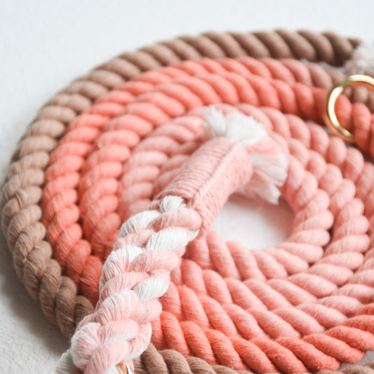 Leash |  Peach Brown