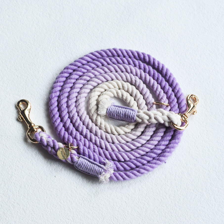 Leash |  Purple