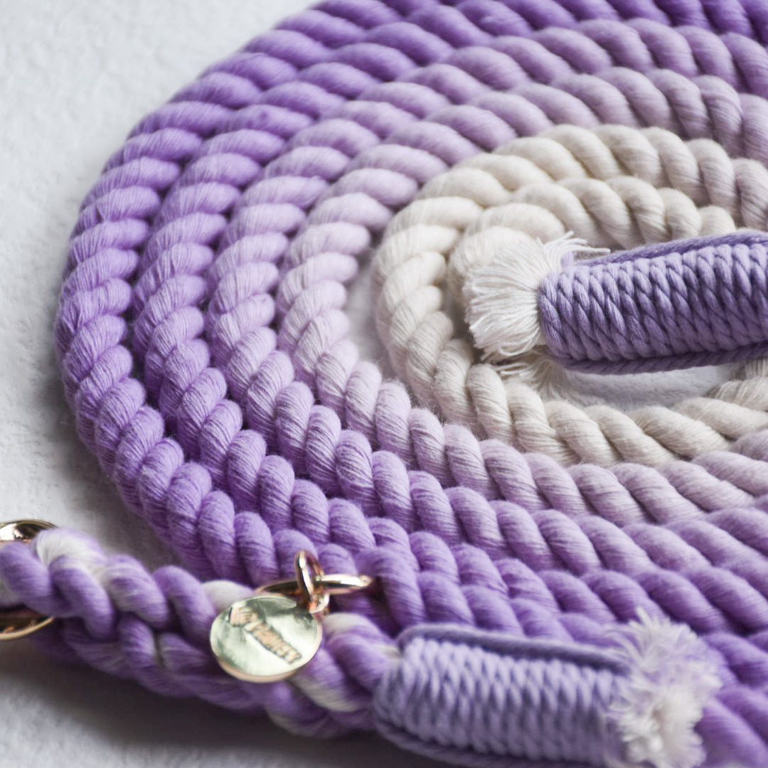 Leash |  Purple