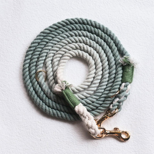 Leash | Dark Green