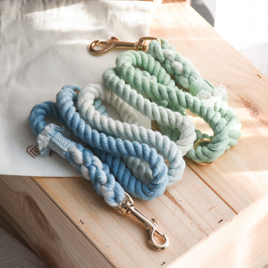 Leash | Ocean Wave