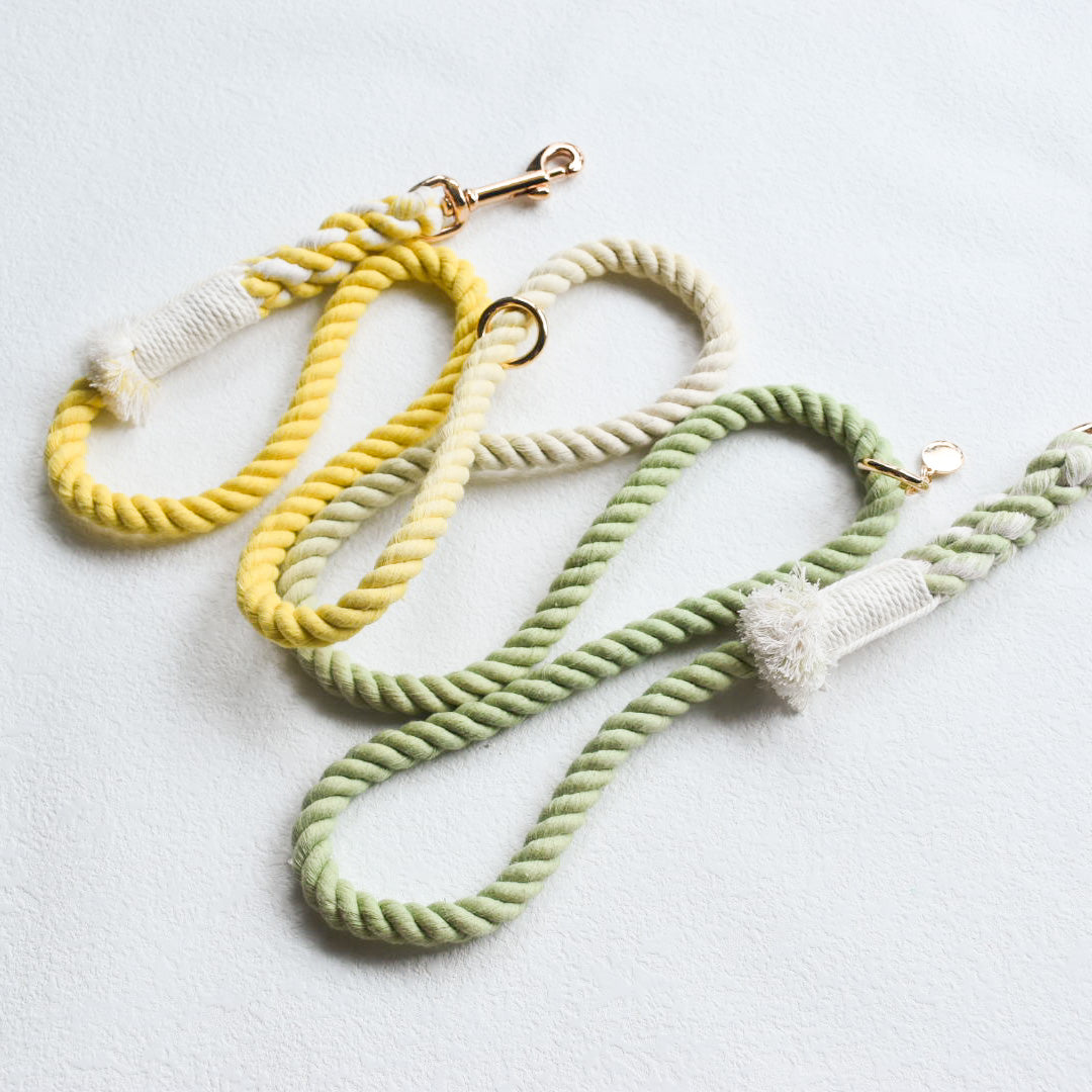 Leash |  Lime Lemonade