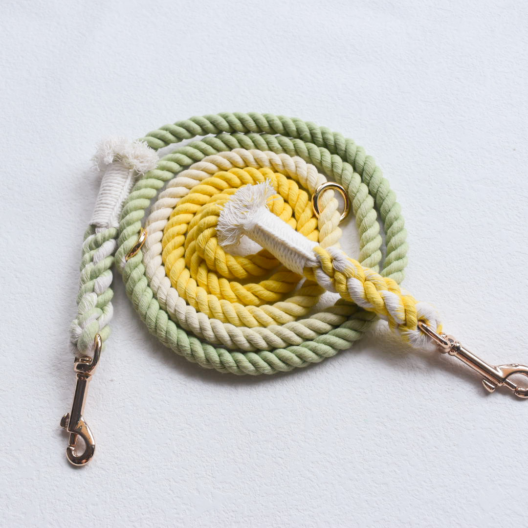 Leash |  Lime Lemonade