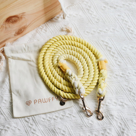 Leash | Yellow