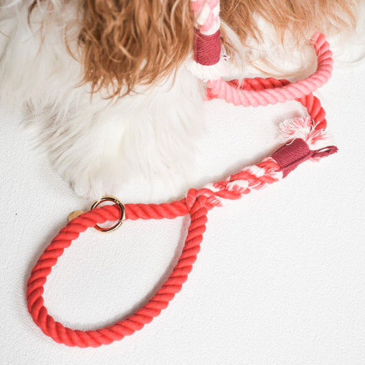 Leash |  Red